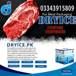 dry ice for meat